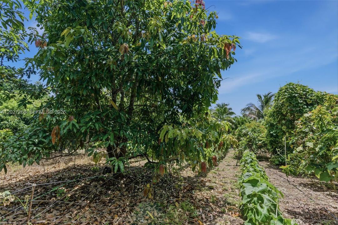En Venta: $1,150,000 (3 camas, 2 baños, 1032 Pies cuadrados)