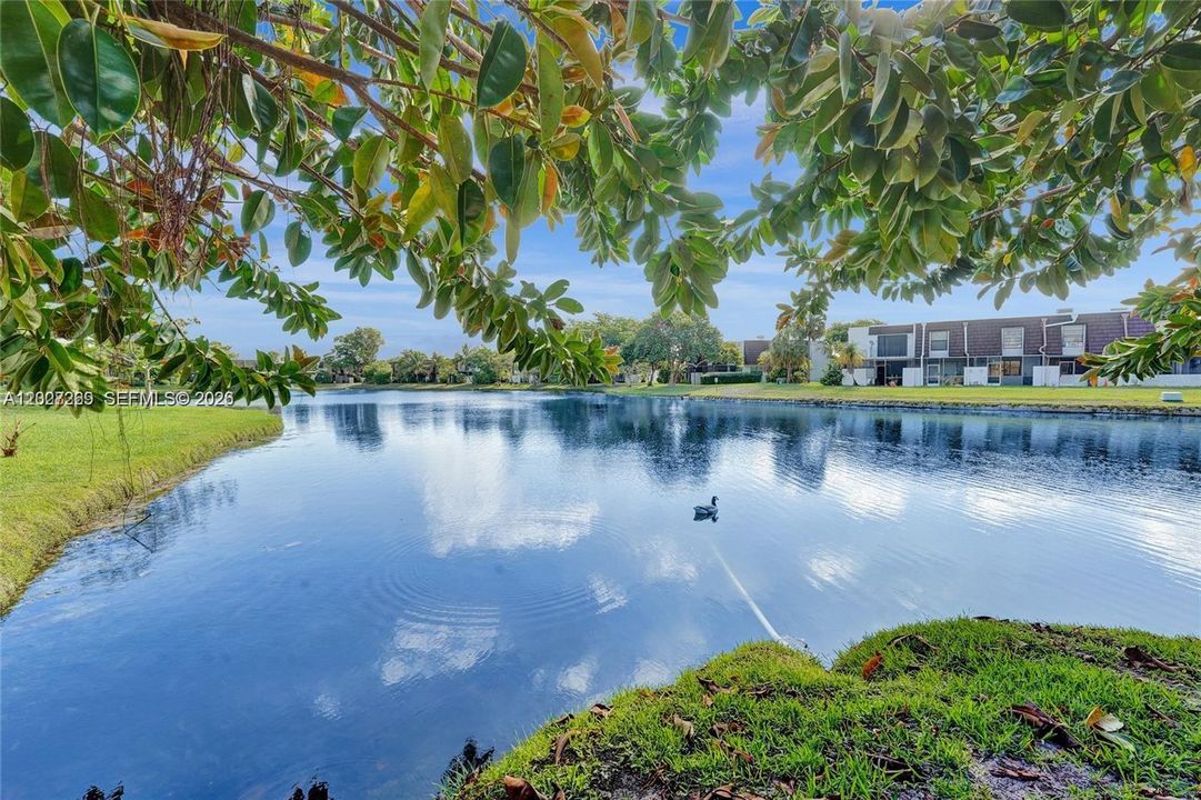 For Sale: $379,000 (4 beds, 2 baths, 1616 Square Feet)