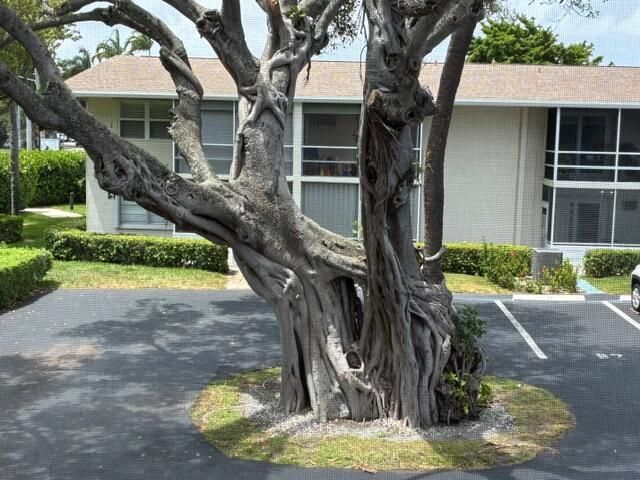 image1 (2)