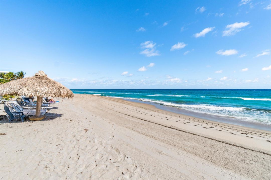 Regency Highland