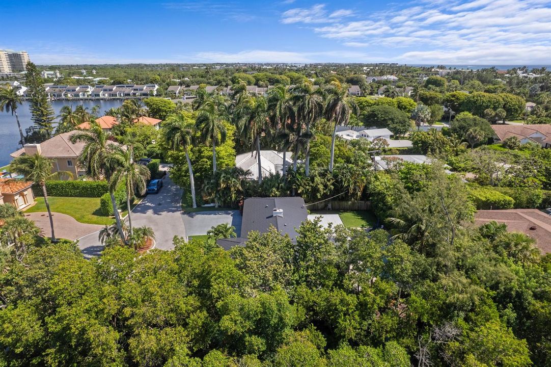 Aerial Neighborhood View
