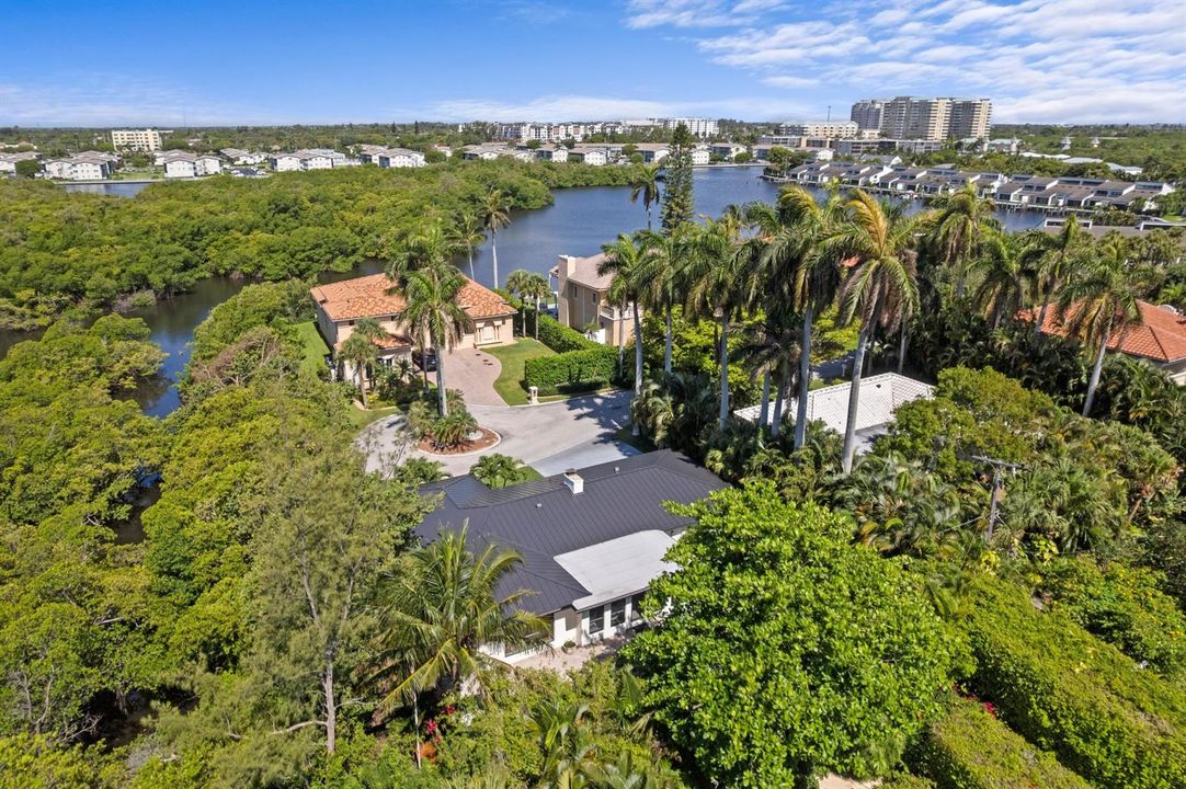 Aerial Neighborhood View