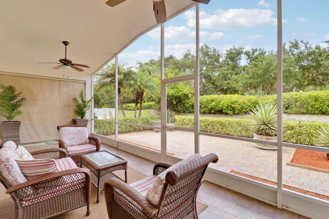 Back Patio