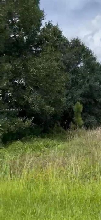 For Sale: $65,000 (54,450.00 acres)