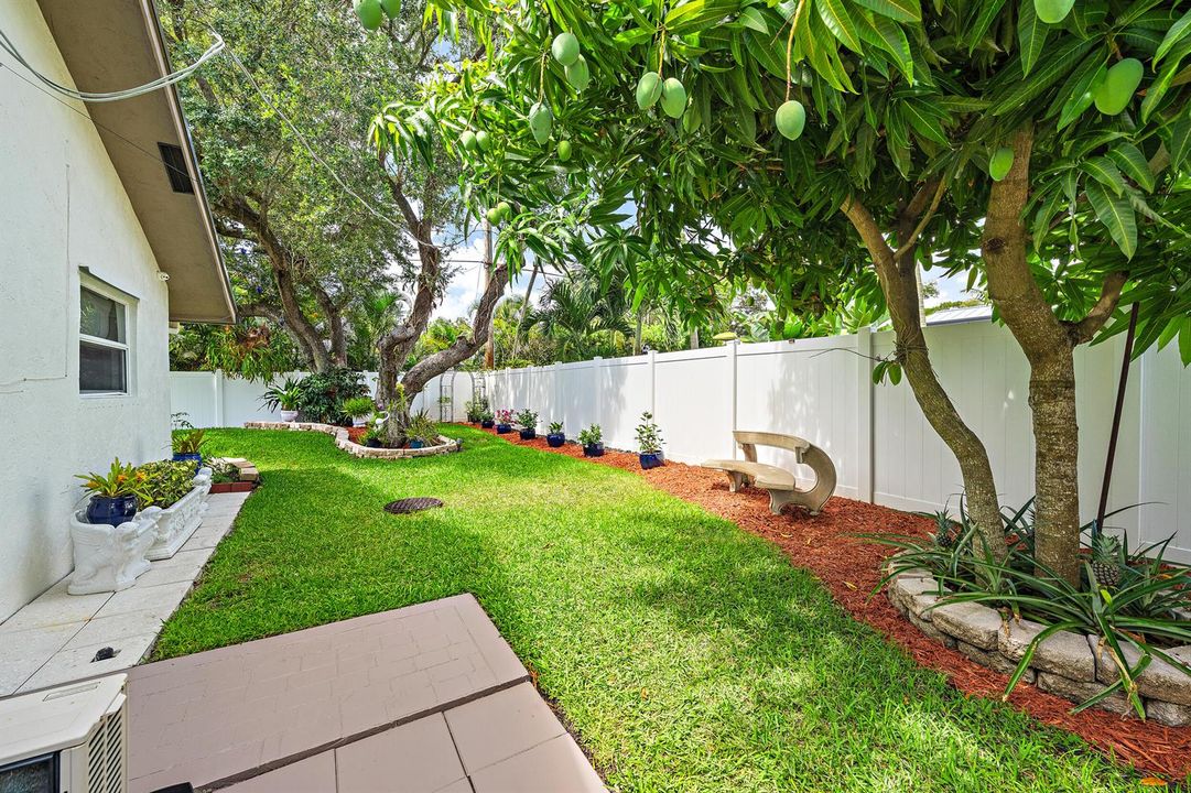 Yard