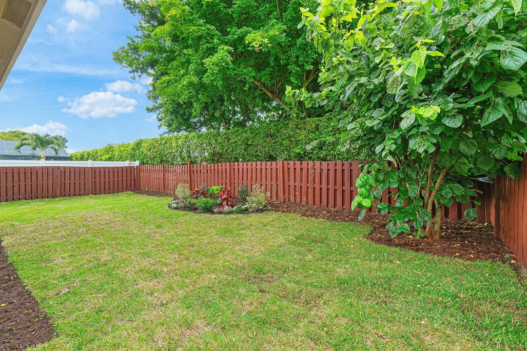 Spacious Fenced Backyard