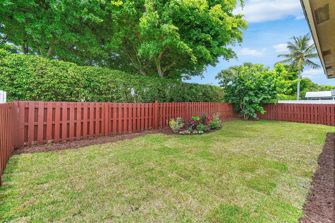 Fenced Backyard