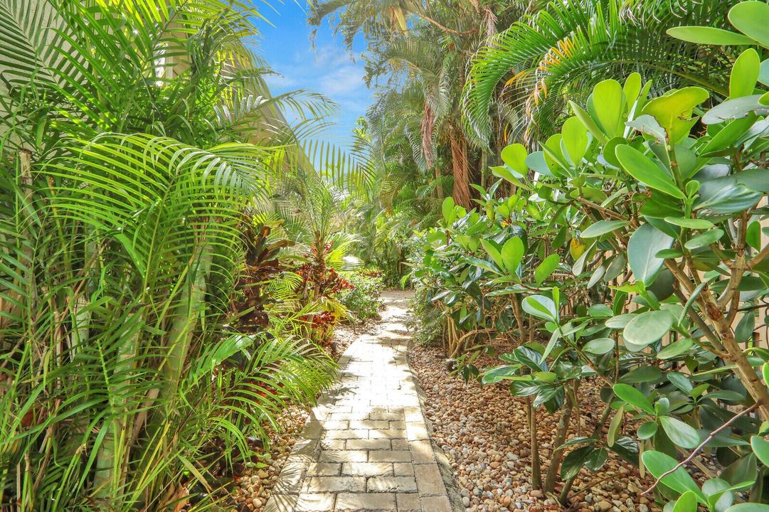 Landscaped side yard