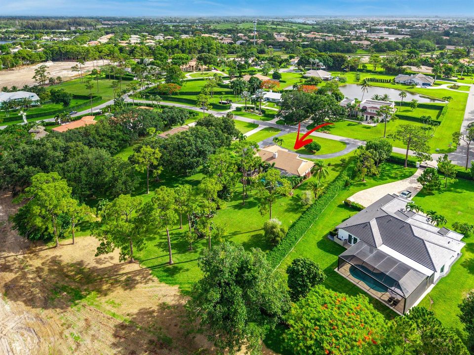 Aerial Yard View