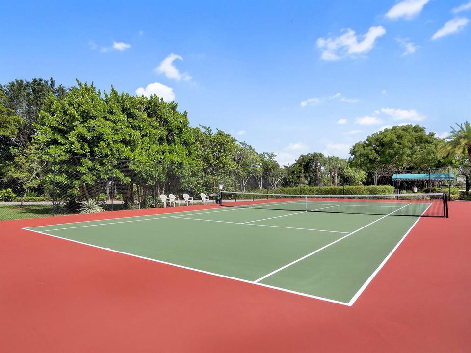 Summer Chase Tennis Ct closeup