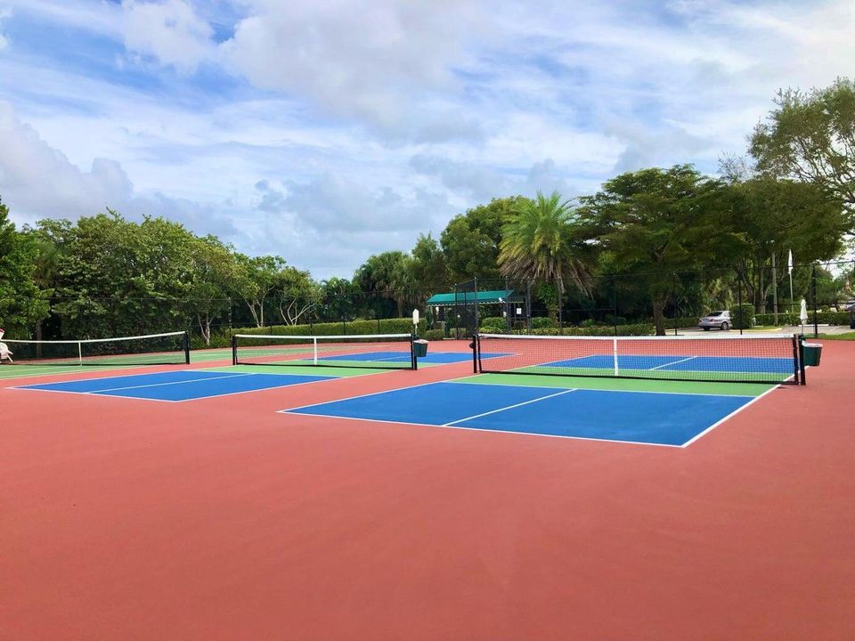 Summer Chase Pickle Ball Court