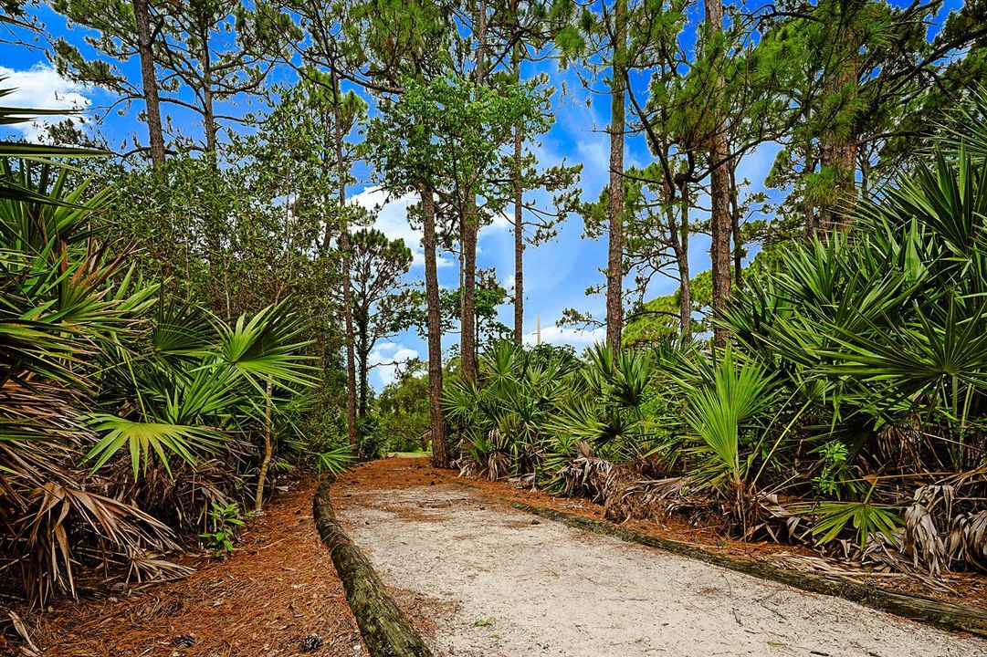 Walking paths