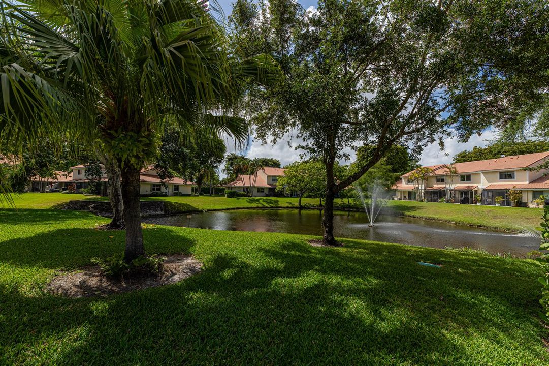 Pond View