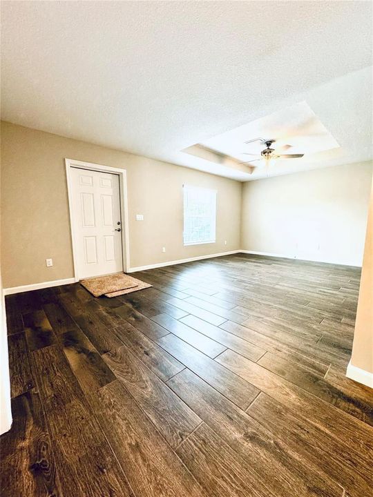 Great Room (Entry Way & Living Area)