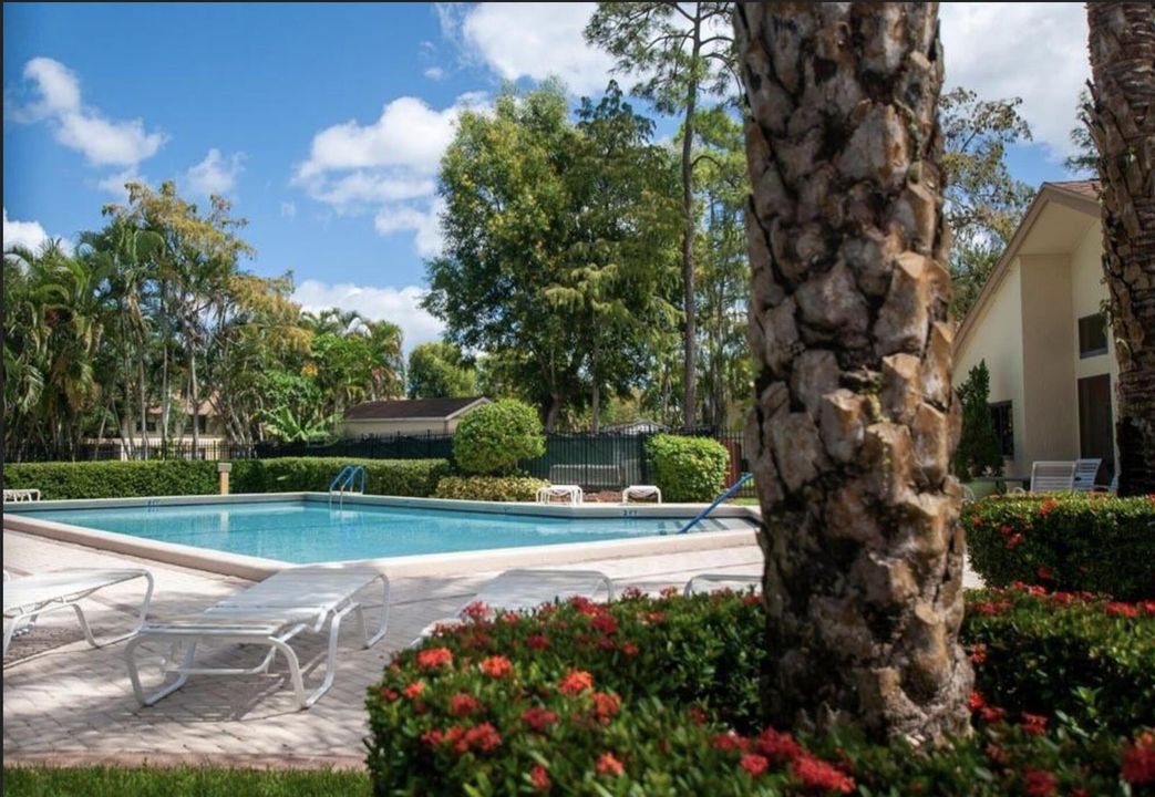 pool picture 1