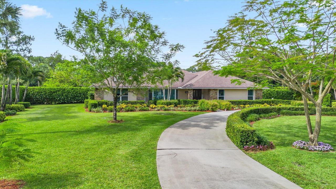 Front Yard