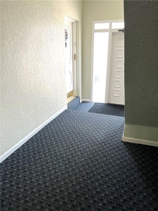 LOBBY HALLWAY UNIT ENTRY (NEW CARPET)