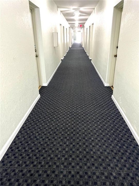 LOBBY HALLWAY (NEW CARPET)