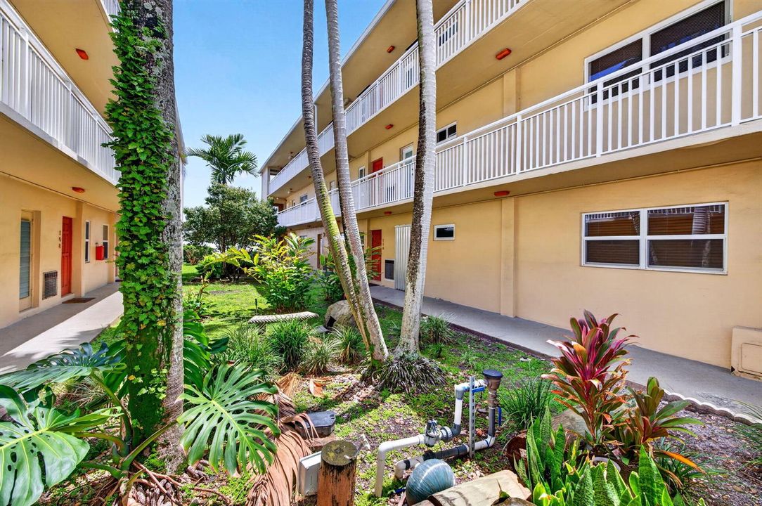 5-web-or-mls-699A9942