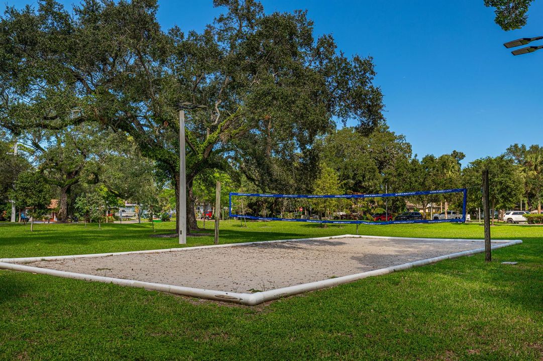 Park-Volleyball
