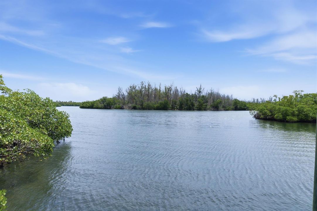DSC00488