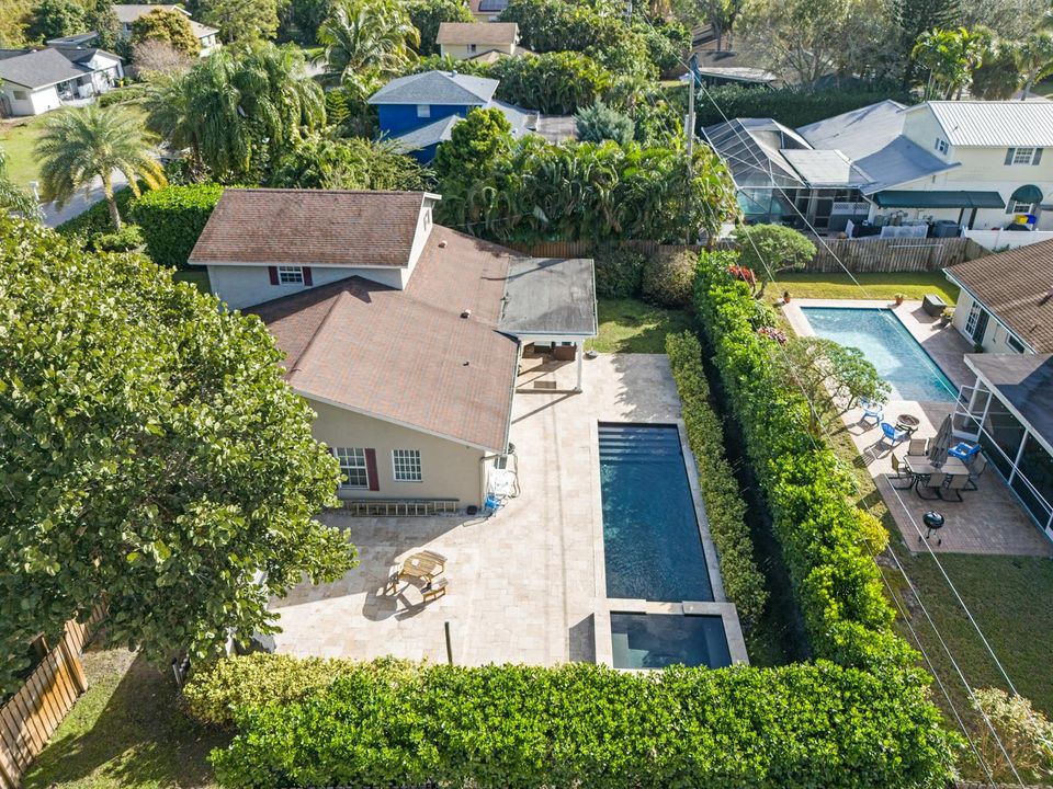 Back Yard and Pool