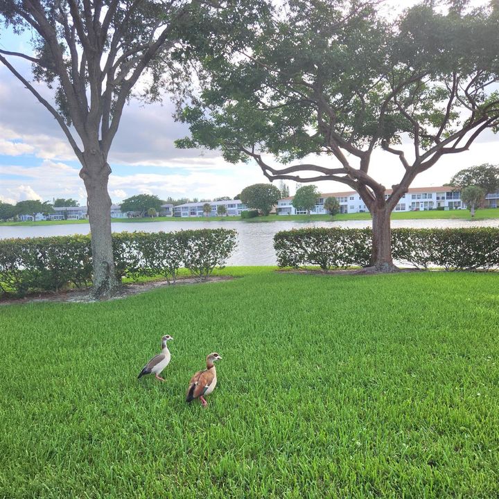 Beautiful Lake Views