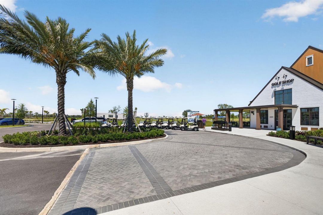 35-web-or-mls-3A5A1756