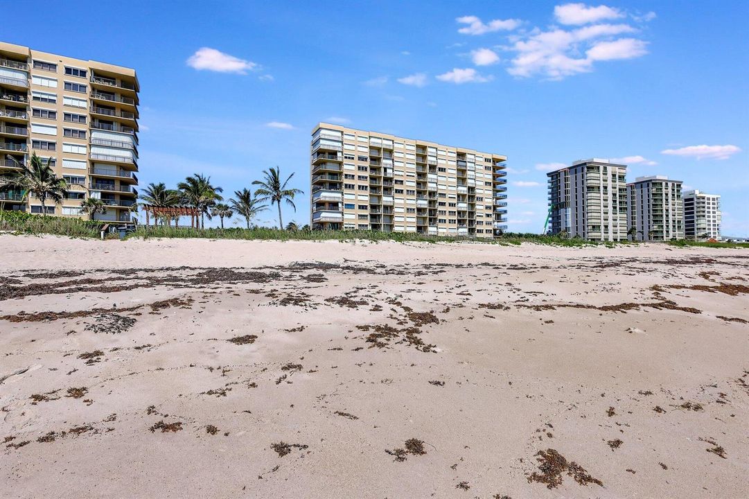59-web-or-mls-5P1A0673