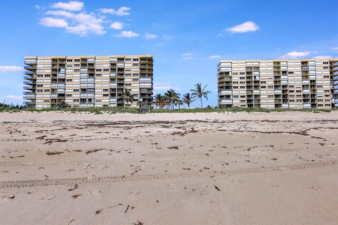 60-web-or-mls-5P1A0678