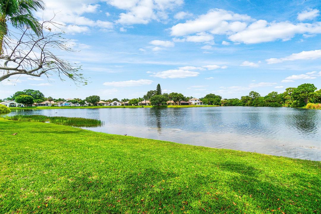 Lake Views