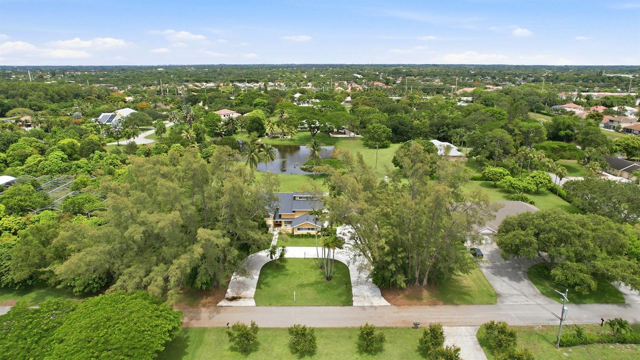 61_aerial view