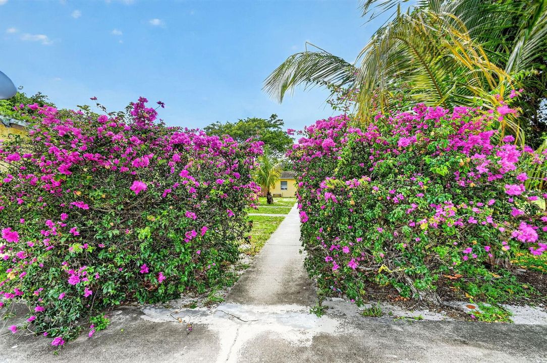 44-web-or-mls-NEW (12)