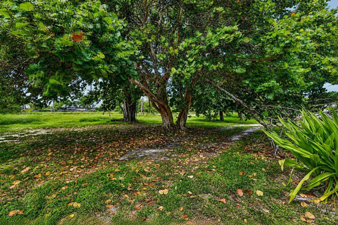 38-web-or-mls-NEW (6)