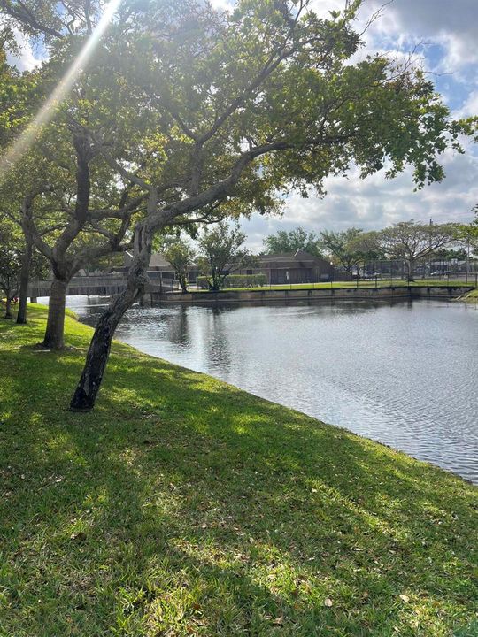 laketree 10758