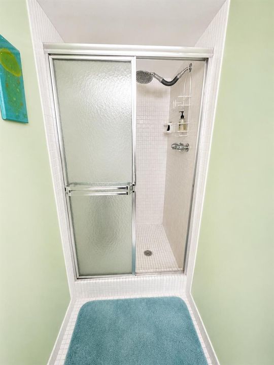 18 Colonial Club Dr 200 Guest Shower
