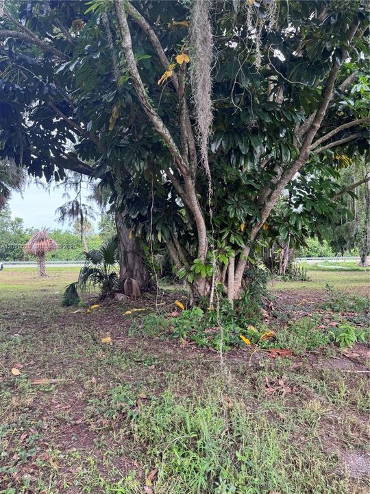 For Sale: $350,000 (3.16 acres)