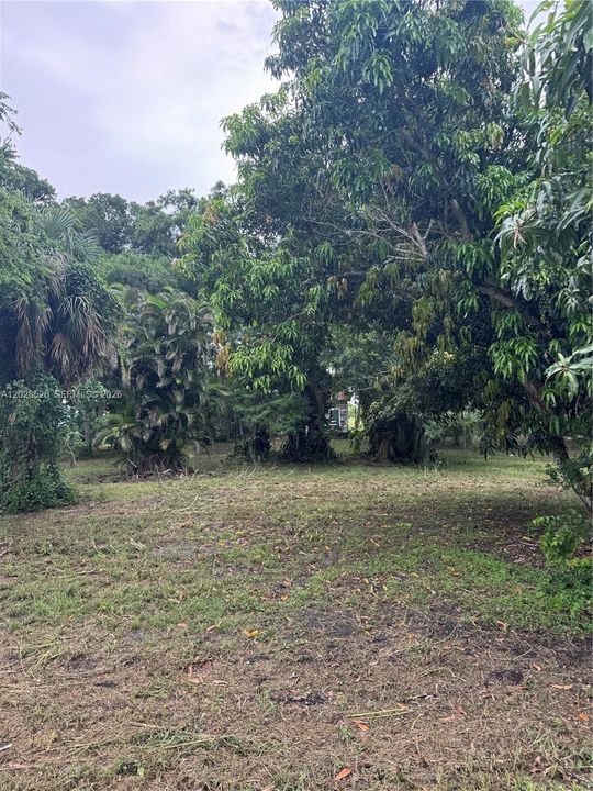 For Sale: $350,000 (3.16 acres)