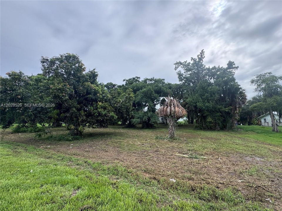 For Sale: $350,000 (3.16 acres)