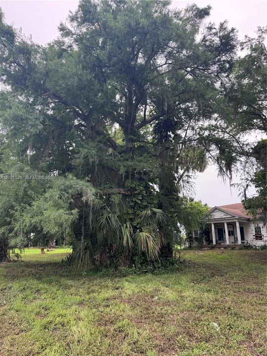 For Sale: $350,000 (3.16 acres)