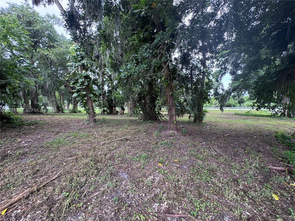 For Sale: $350,000 (3.16 acres)