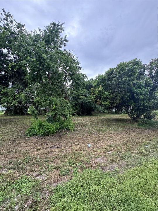 For Sale: $350,000 (3.16 acres)