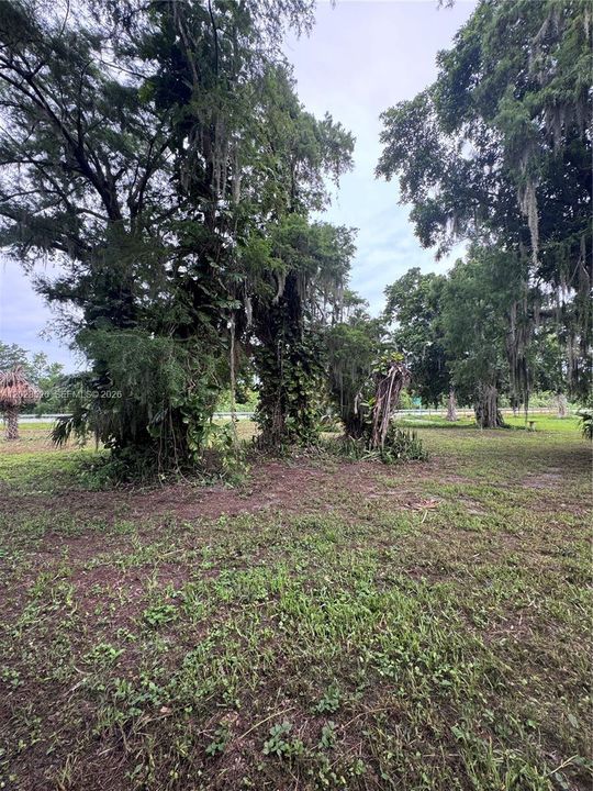 For Sale: $350,000 (3.16 acres)