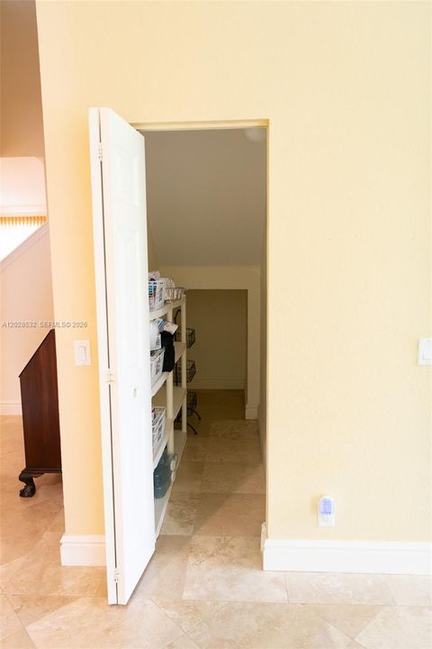 Large Pantry closet off of Kitchen