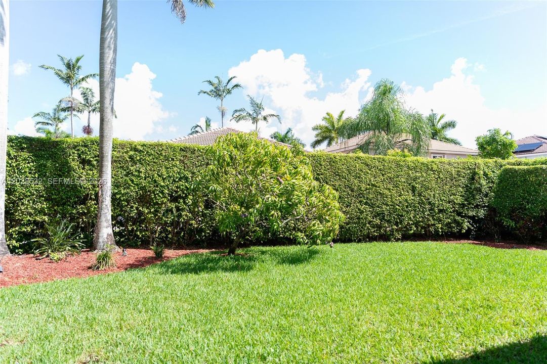 Beautiful back yard with plenty of room for a pool