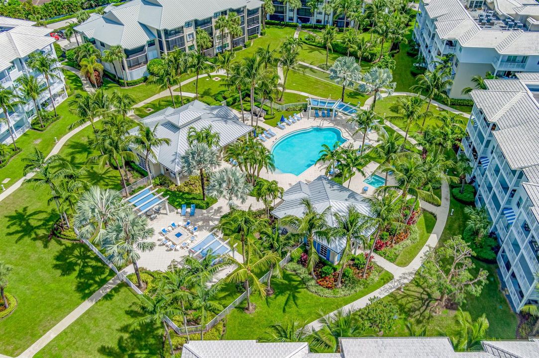 Juno Bay Colony