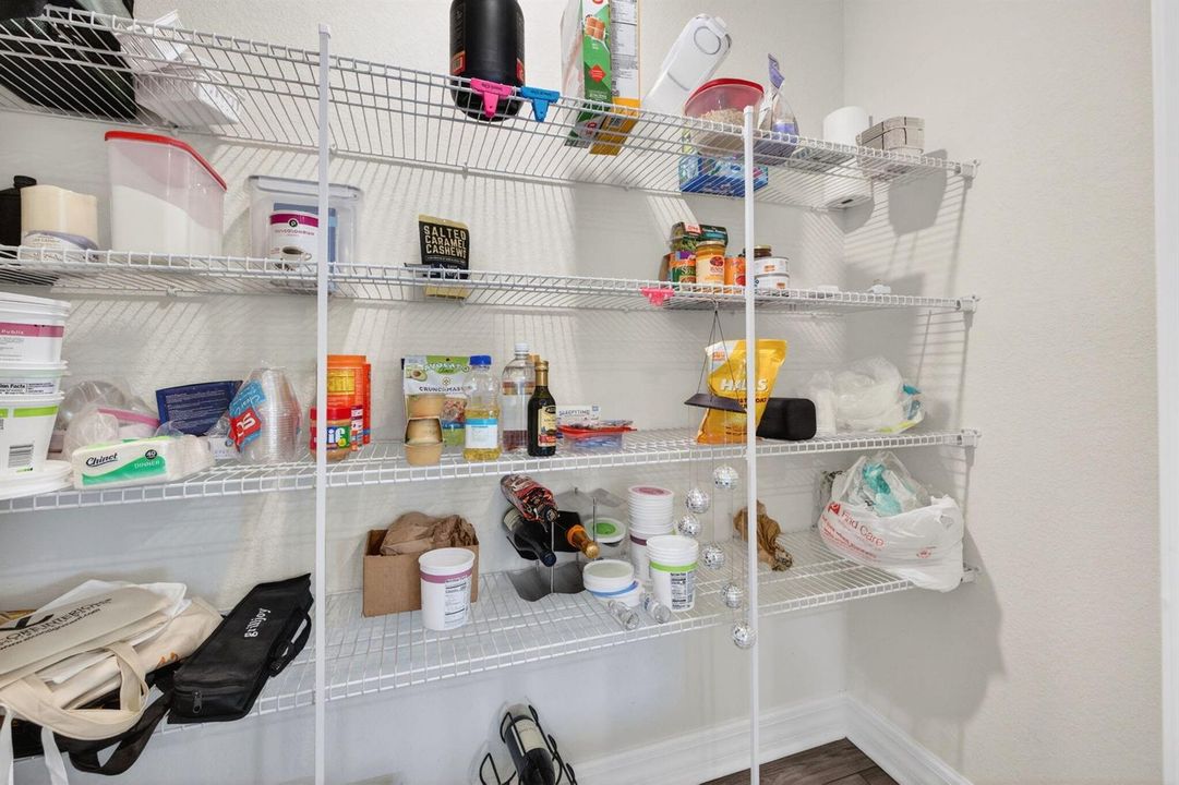 50-web-or-mls-699A3952