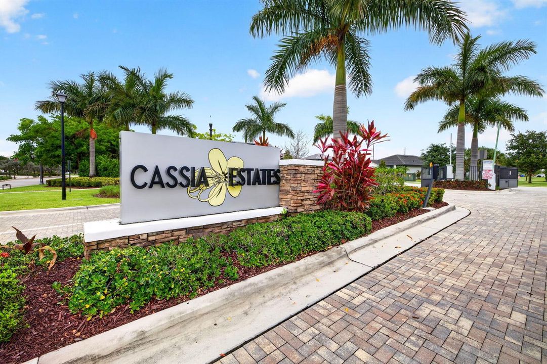 64-web-or-mls-699A4312