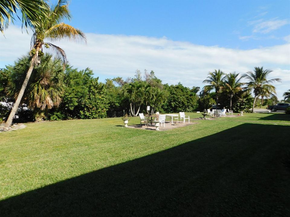 Yard Area