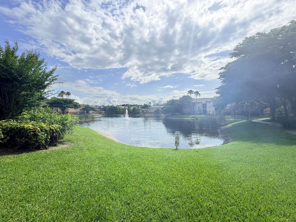 IMG_0604